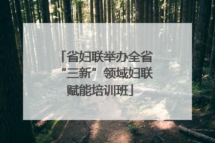 省妇联举办全省“三新”领域妇联赋能培训班